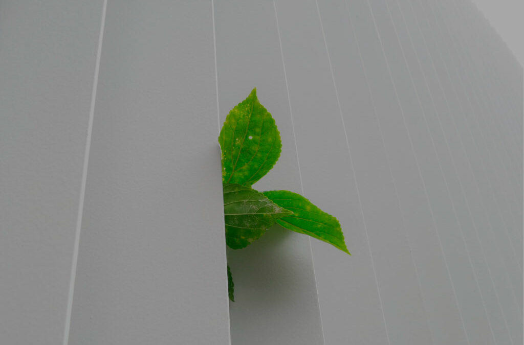 7 aspectos a tener en cuenta para ser una persona resiliente