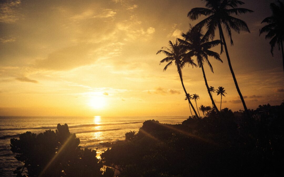 ¡Prepárate para la aventura del año en Sri Lanka!